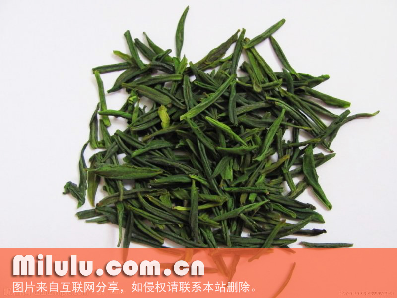 六安瓜片图片