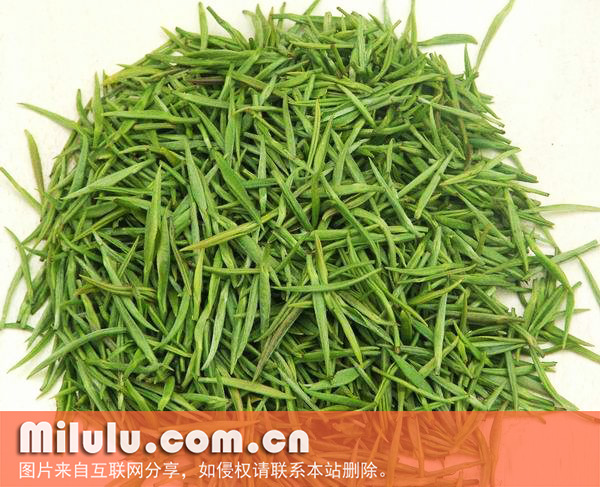 岳西翠兰图片
