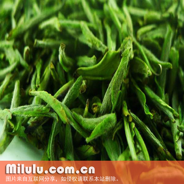 岳西翠兰图片
