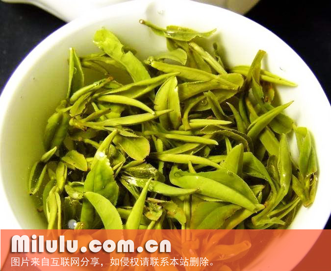 岳西翠兰中文名