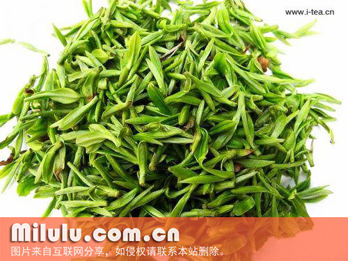 北港毛尖图片