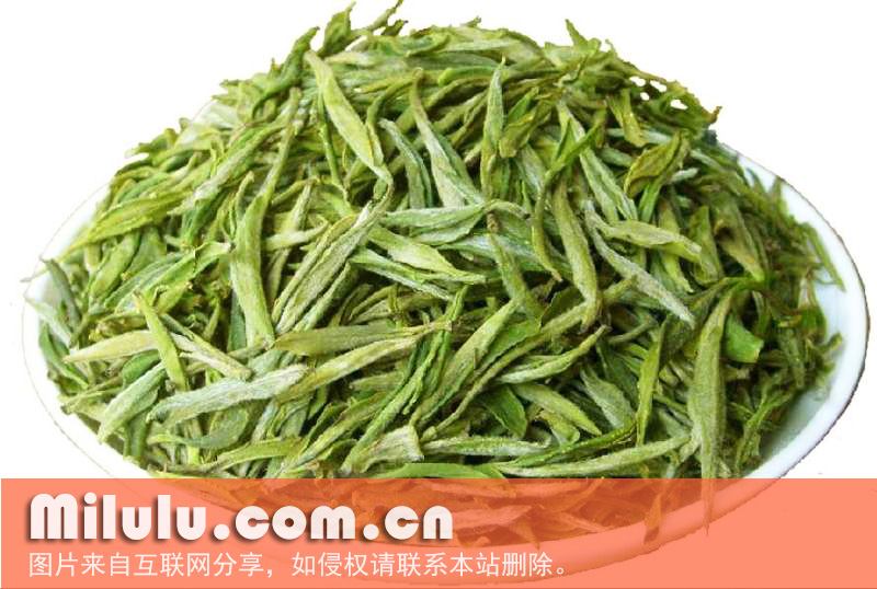 霍山黄芽图片