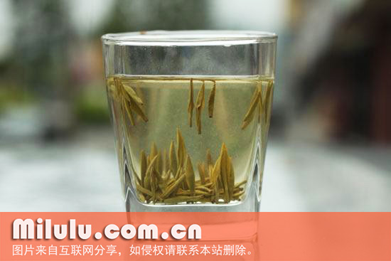 蒙顶黄芽图片