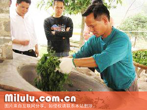 鹿苑毛尖的茶叶文化