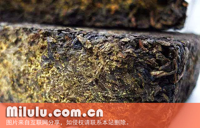 安化黑茶图片