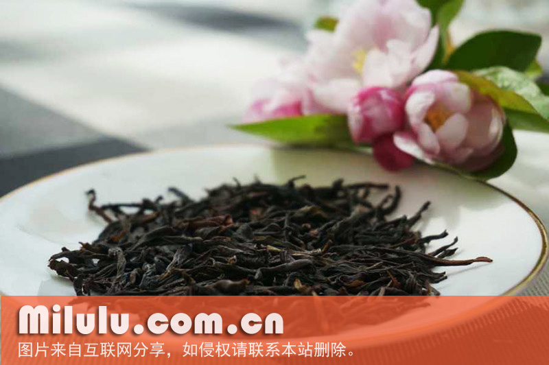 凤凰单丛茶