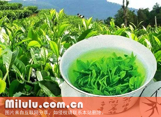 英山云雾茶图片