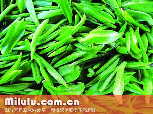 碧螺春茶叶图片