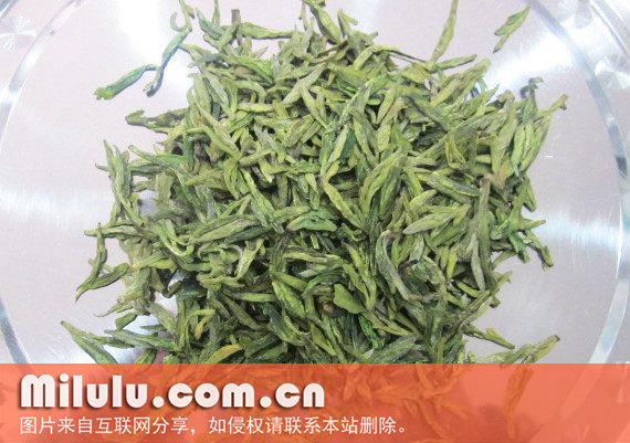 老竹大方图片