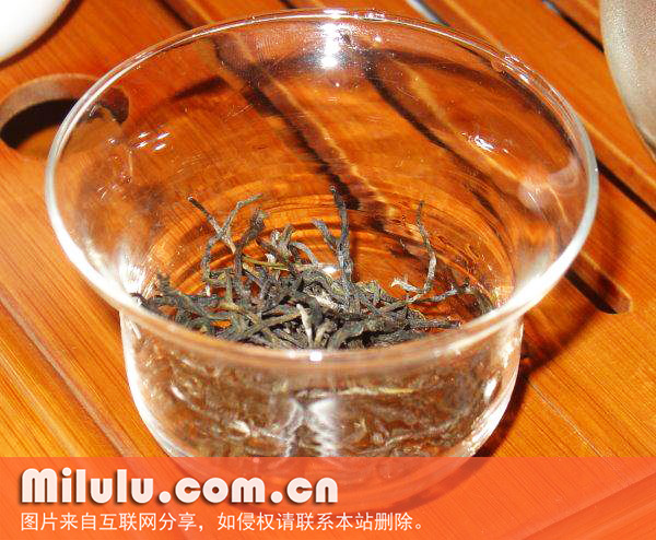 西山茶图片