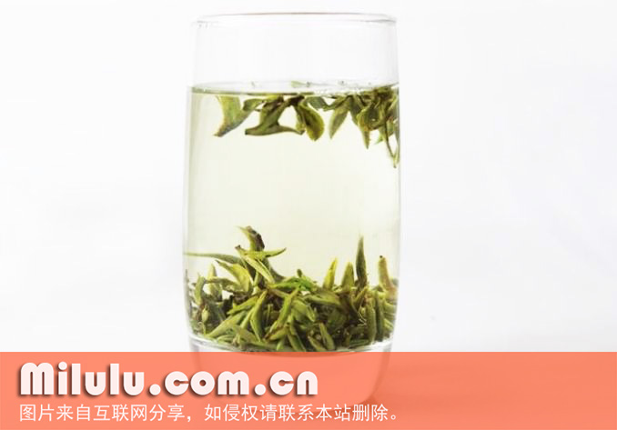 敬亭绿雪图片