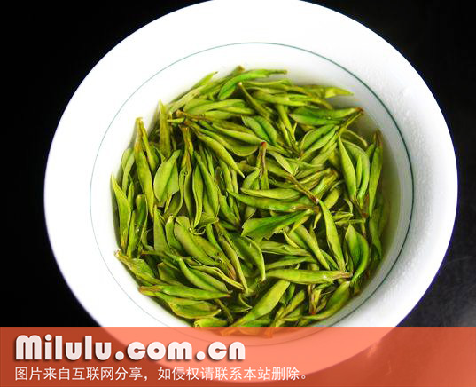 凌云白毫茶图片