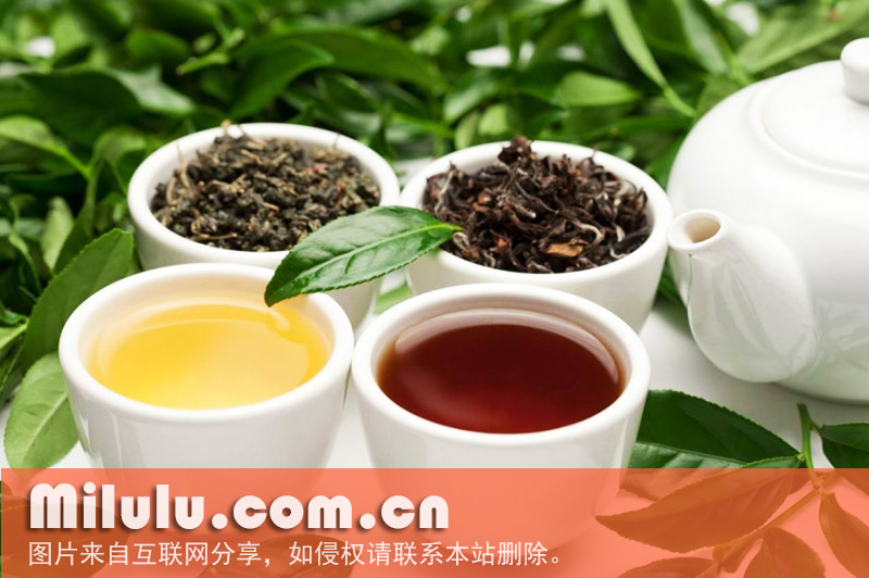 凌云白毫茶的历史溯源