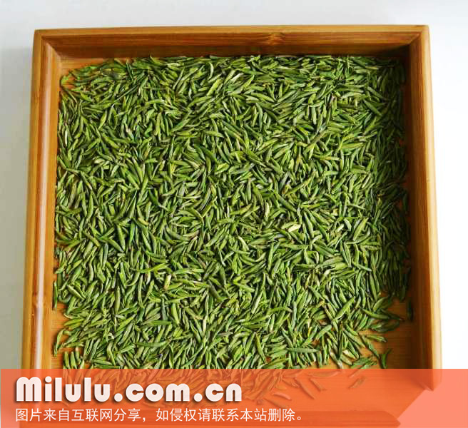 金坛雀舌茶图片
