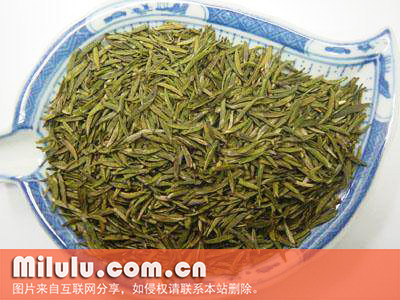 秦巴雾毫的产地分布