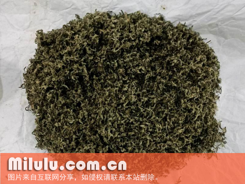 碧螺春图片