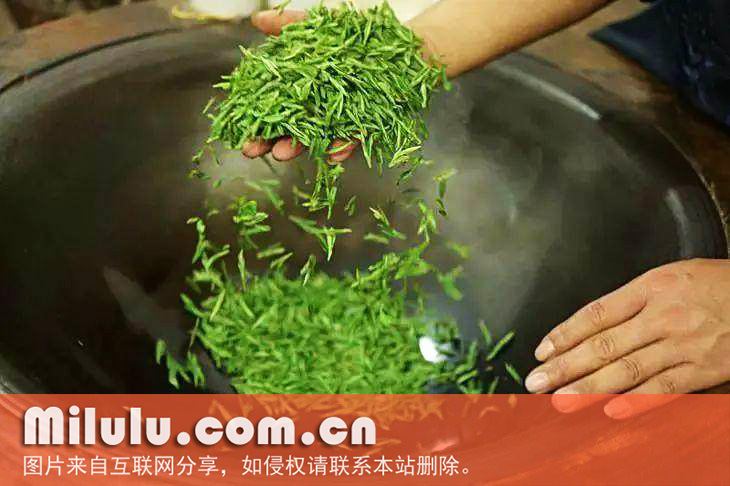 绿茶的主要品种
