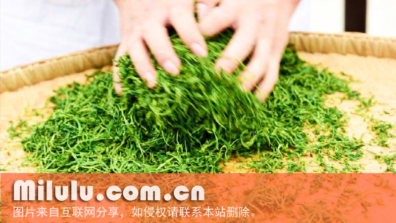 绿茶要怎么样存放？