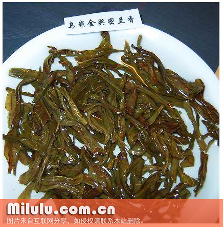 古劳茶图片