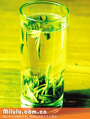 春茶的茶季划分