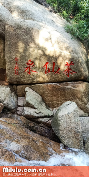 茶仙泉