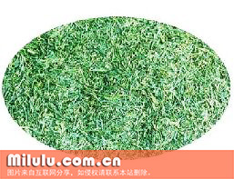 绿茶图片