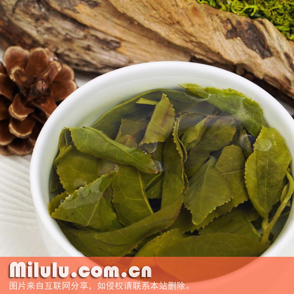 什么是高山茶？