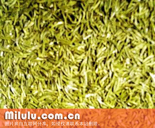 黄茶图片