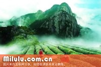 武夷岩图片