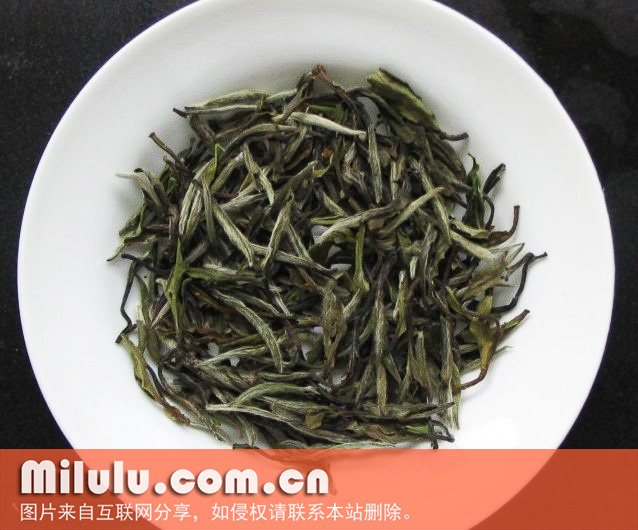 政和白茶图片