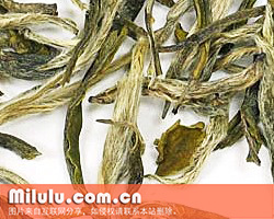 白毫茶图片