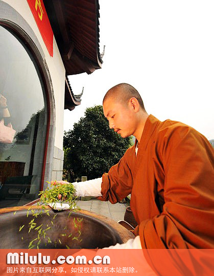 禅茶的茶道程序