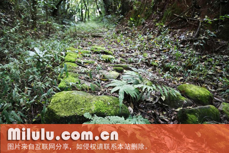 茶马古道(宁洱段)