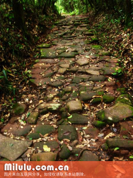 茶马古道(思茅段)