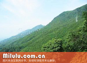 翠峰图片