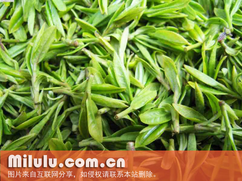 湄江茶图片