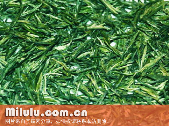 松萝茶图片