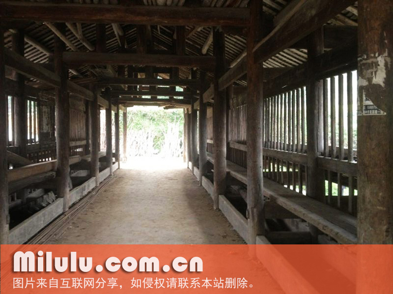 皇家茶园之古茶亭