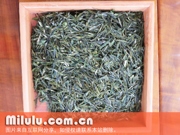 玉泉仙人掌茶图片