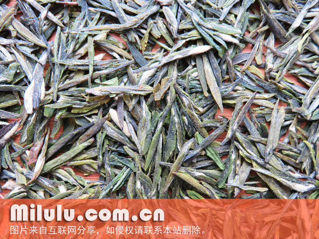 玉泉仙人掌茶中文名