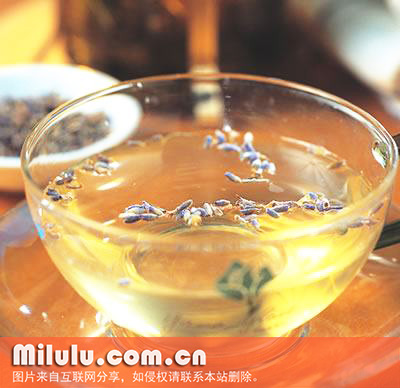 薰衣草茶中文名