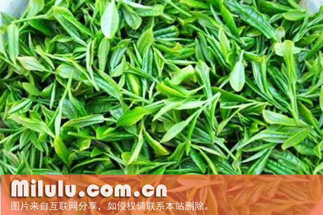 天山绿茶图片