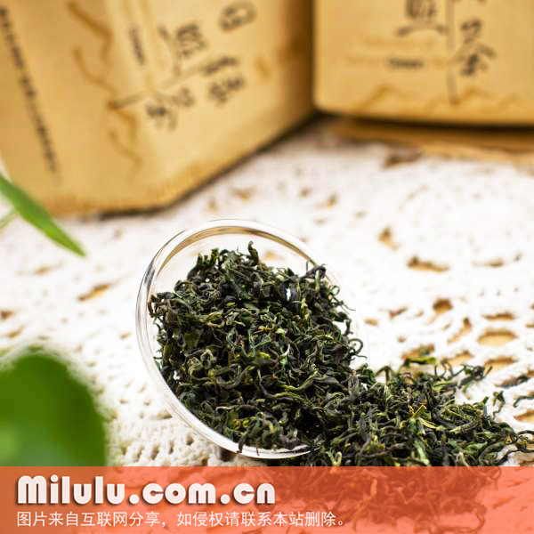 日照绿茶