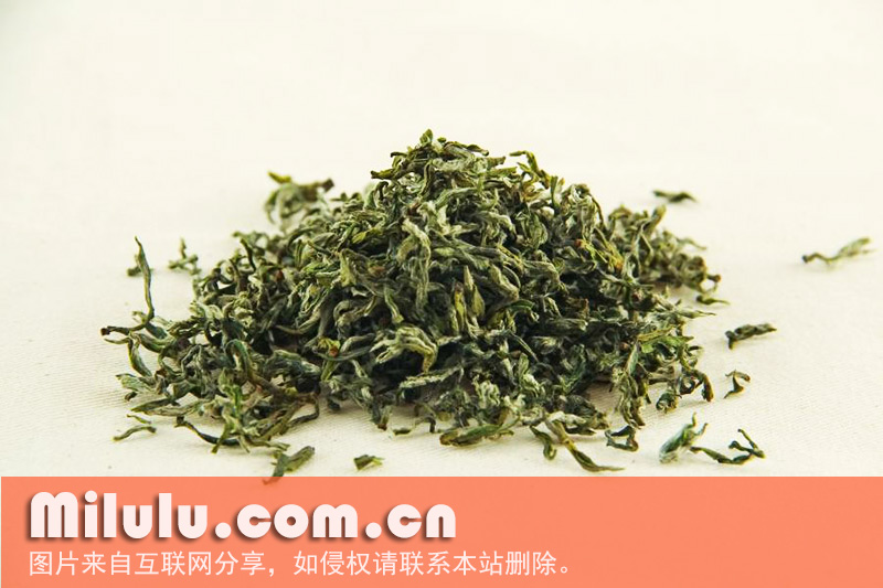 日照绿茶图片