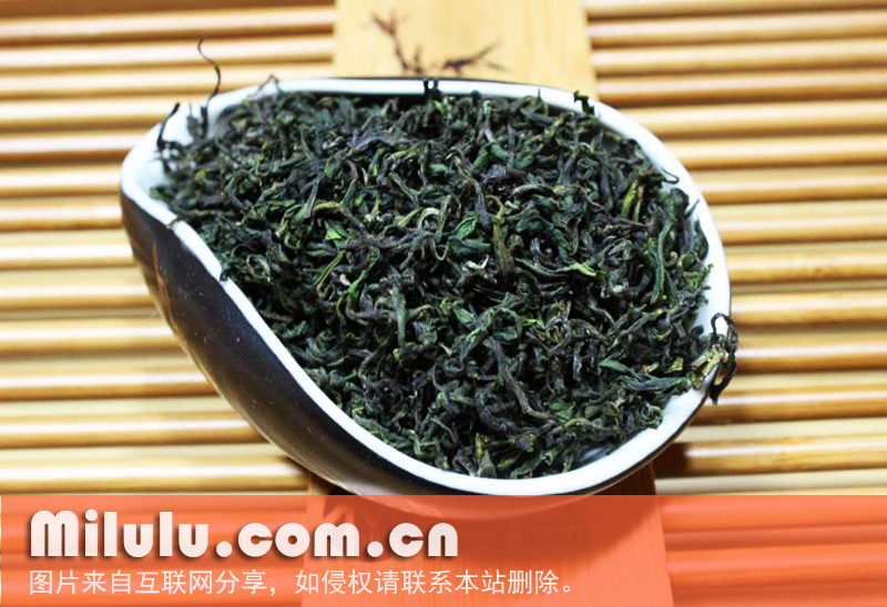 日照绿茶中文名