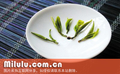 顾渚紫茶图片