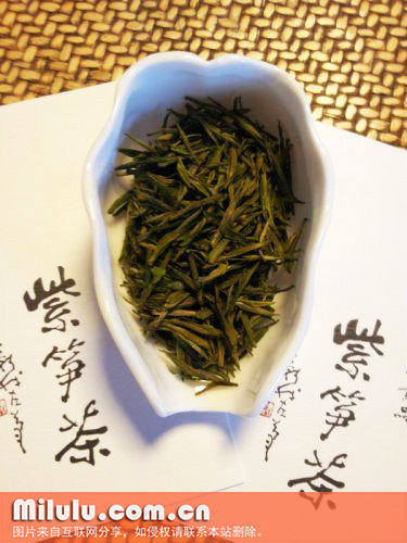 顾渚紫茶图片