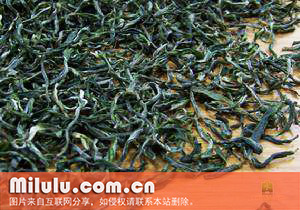 宝洪茶的加工工序