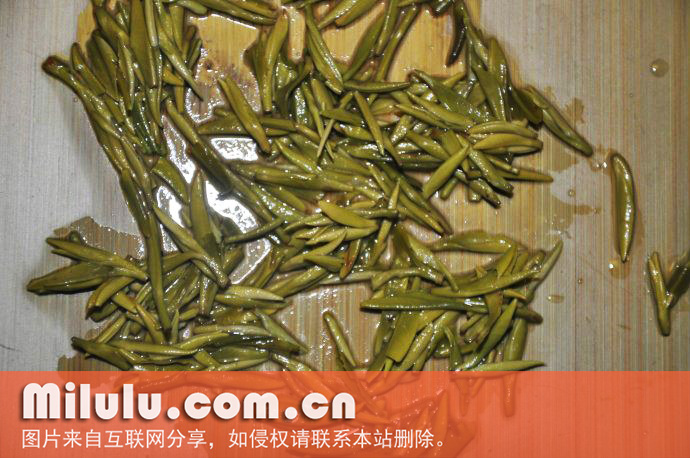 仰天雪绿图片