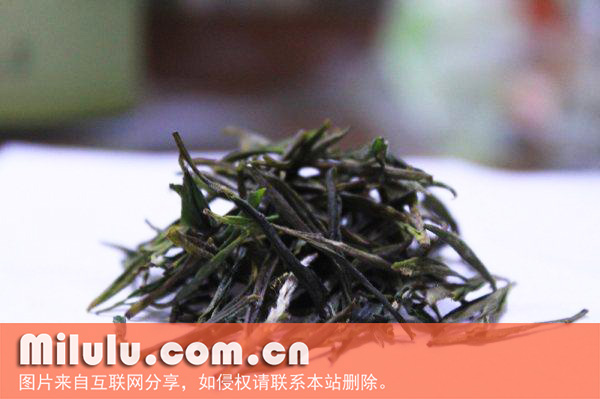 安吉白片图片